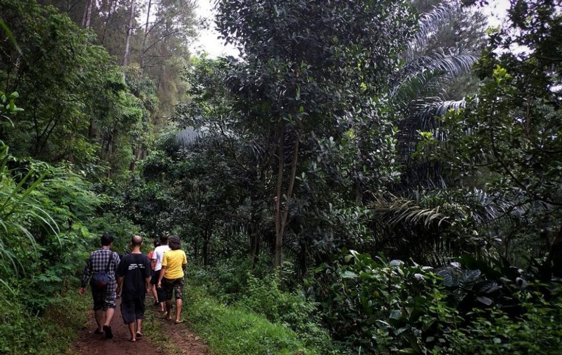 Perjalanan menuju dalam hutan kawasan Mendira I Dokumentasi Pribadi